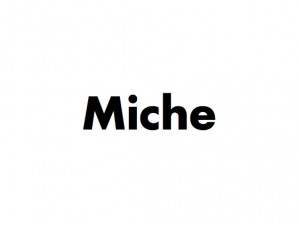 Miche
