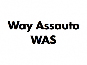 Way Assauto